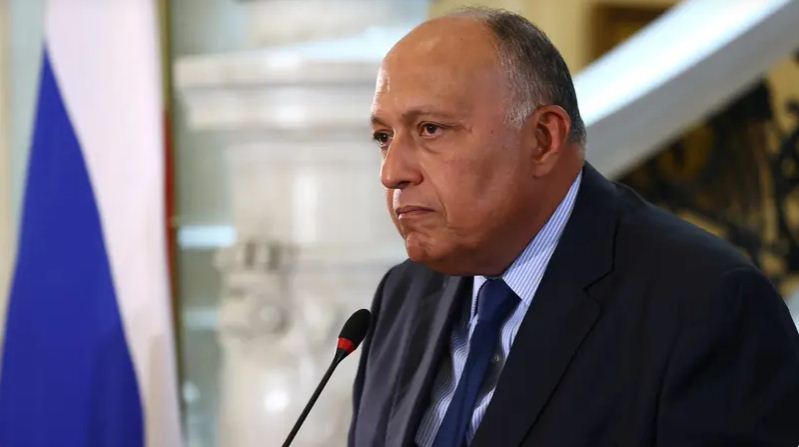 وزير الخارجية المصري سامح شكري