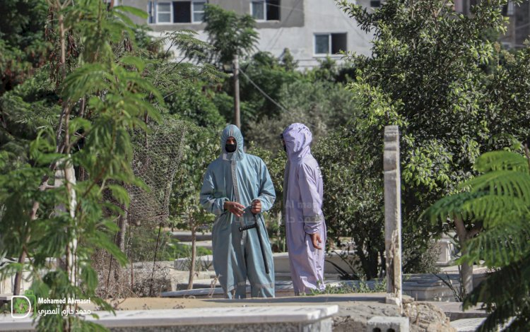 صورة من الارشيف