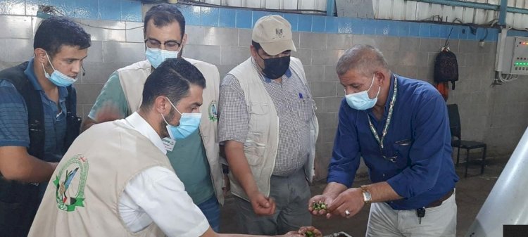 جولات ميدانية وزارة الاقتصاد - صور حصرية 