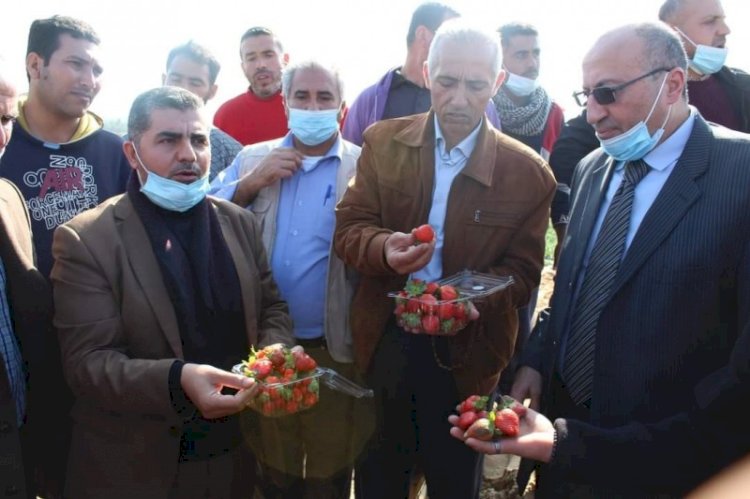 جولة وزارة الزراعة في شمال قطاع غزة