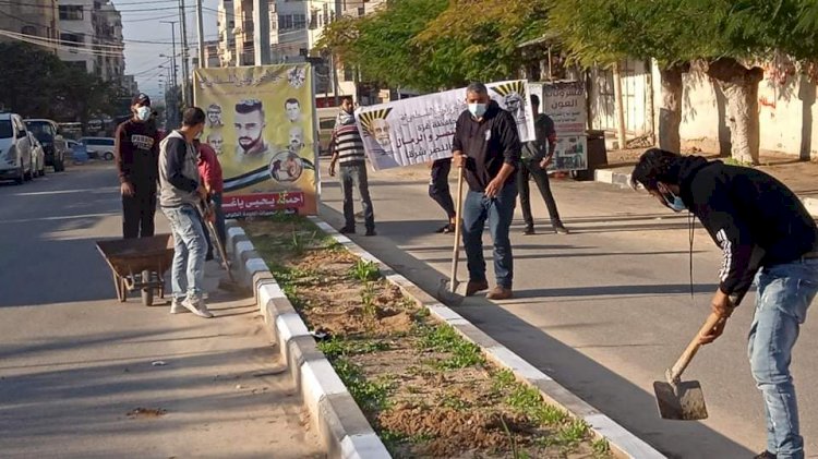 متطوعون يقومون بتنظيف وتزيين وزراعة الأشجار في أحد شوارع غزة 