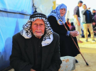 في اليوم العالمي لكبار السن.. الإحصاء الفلسطيني يستعرض واقع 347 ألف مسن ومسنة