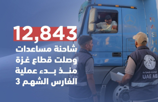 فيديو:   75 شاحنة إماراتية تحمل 800 طن من المساعدات تصل إلى غزة