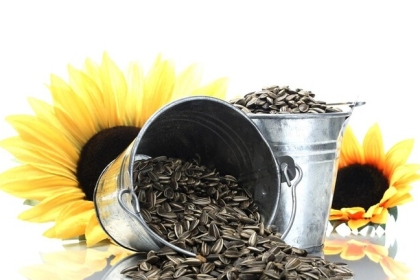 أثار جانبية مدهشة لتناول بذور عباد الشمس