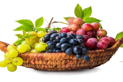 أيهما أكثر فائدة.. العنب الداكن أم الفاتح؟