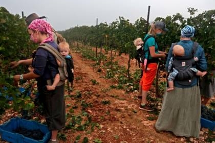 منظمة إنجيلية مقرها مستوطنة تستولي على أراض بملكية فلسطينية