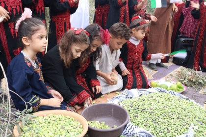 الزراعة بغزة تحدد موعد افتتاح موسم قطف الزيتون في القطاع