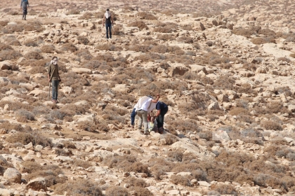 مستوطن يهاجم طالبتين ويرشهما بغاز الفلفل في حوارة