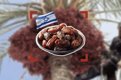 "أمان" لمكافحة الفساد تكشف التفاصيل الكاملة لقضية فساد "تبييض التمور"