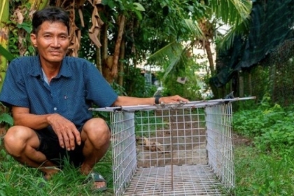 يسرق ‏‎1500‎‏ قطة ويبيع لحومها للمطاعم في فيتنام