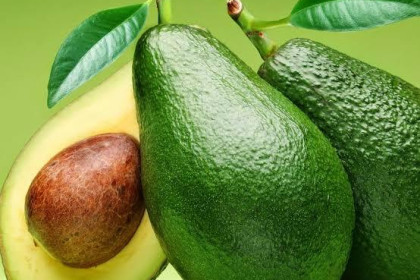 حبة أفوكادو يوميا.. دراسة تكشف فائدة غير متوقعة للقلب