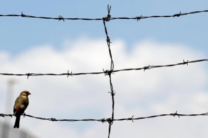 محكمة الاحتلال تمدد اعتقال أسيرين من جنين ويعبد للمرة العاشرة والرابعة