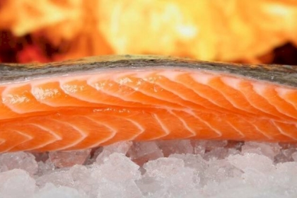 تناول الأسماك الزيتية قد يحمي الدماغ من الأضرار السامة لتلوث الهواء