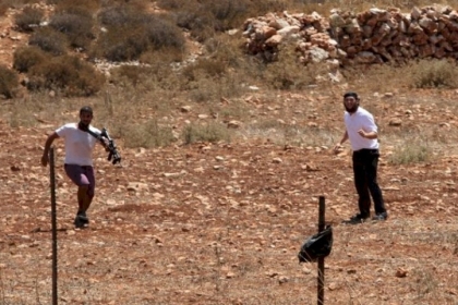 مستوطنون يحاولون إنزال أعلام فلسطينية عن أعمدة كهرباء في تقوع