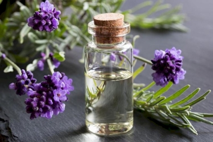 فوائد اللافندر الصحية... هل اختبرتها؟