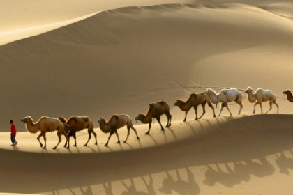 أغنى رجل في التاريخ.. عاش في أفقر بقاع الأرض حاليا!