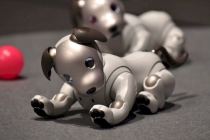 كلب آلي يحمي الطاقم الطبي من فيروس كورونا... فيديو