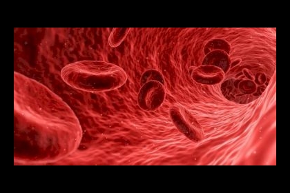 باحثون يطورون روبوتات دقيقة يمكن إرسالها بالأنسجة ومجارى الدم