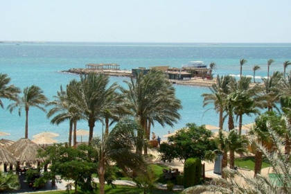 "بالزغاريد والمأذون"... فيديو يوثق حفل زفاف مصري تحت أعماق البحر