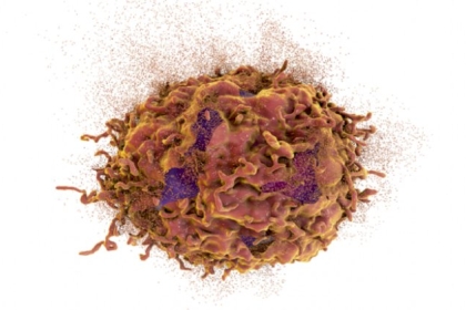 اختراق كبير في السرطان.. اكتشاف ما قد يوقف انتشار الأورام الخبيثة!