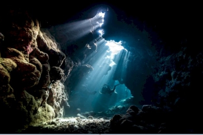 في مصادفة غريبة.. زوجان يكتشفان مخلوقات نادرة قيمتها آلاف الدولارات (صور)