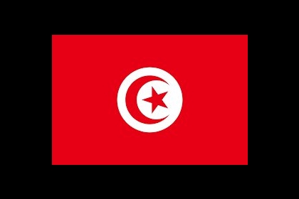 سعيد: تونس لا تقبل أي وصاية والإعلان عن تشكيل الحكومة قريبا جدا