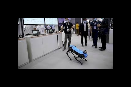 روبوتات على شكل كلاب تطالب الناس بالحفاظ على قواعد التباعد الاجتماعي.. فيديو