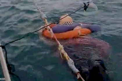 العثور على امرأة حية وسط البحر بعد عامين من اختفائها"فيديو"