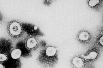 طفرة هيكلية لكورونا.. نتوءات الفيروس "تتحور"