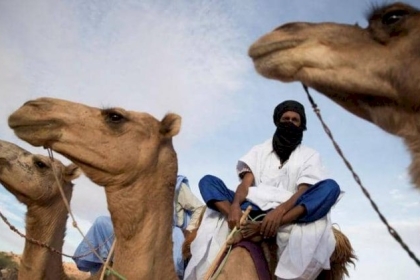 حمى الوادي المتصدع.. شبح يفزع الموريتانيين