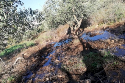 مستوطنون يغرقون اراضي المواطنين شرق نابلس بالمياه العادمة