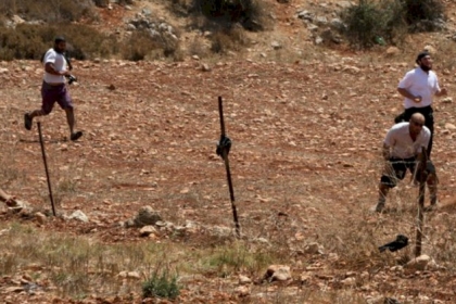 إصابة مواطن في اعتداء للمستوطنين بالأغوار الشمالية