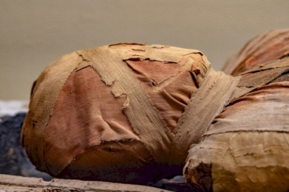 ما الرسالة التي تحملها المومياوات حول أمراض القلب؟