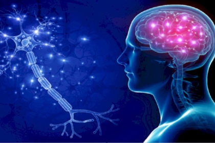 أمراض تدمر الدماغ