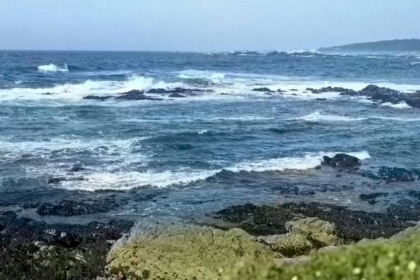 أنقذ فتاة من الغرق.. فحصد ما لم يتوقعه