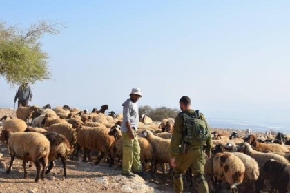 مستوطنون يعتدون على رعاة أغنام جنوب الخليل