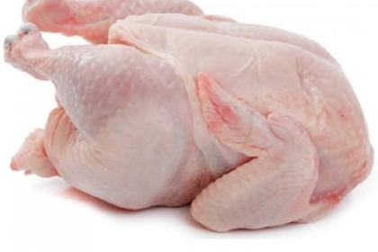 أول دولة في العالم تبيع "دجاج المختبر"