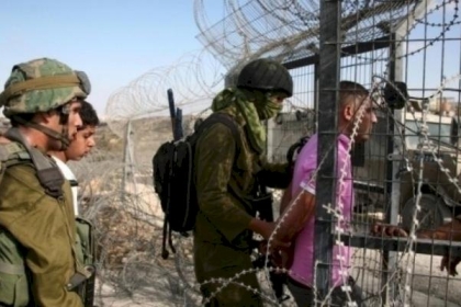 الاحتلال يعتقل 4 فتية شمال غرب القدس