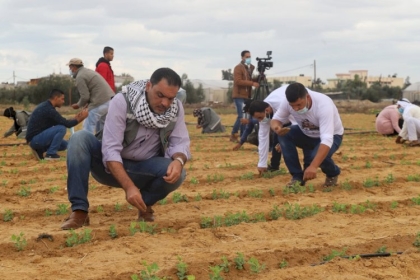 مجلس العمال في خانيونس ينفذ فعالية تطوعية لتكريم الفتيات الخريجات العاملات في  مجال الزراعة