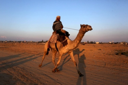 متسابقون يشاركون في سباق الهجن في المطار الدولي بمدينة رفح