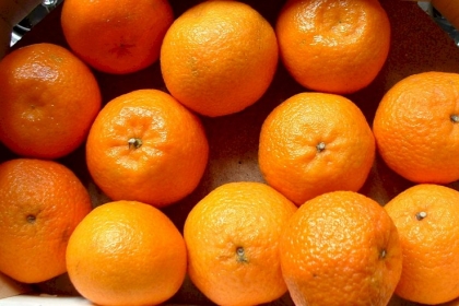 تعرف كم حبة مندرين (اليوسفي) يمكن تناولها يوميا؟