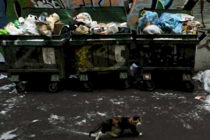 جريمة بشعة.. ألقت رضيعيها بالقمامة وكشفوا أمرها بعد 17 عاما