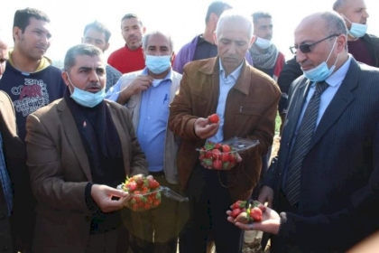 زراعة غزة : أضرار المنخفض شمال القطاع تقدر بمليون دولار