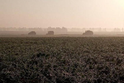 توغل إسرائيلي شرق رفح وسط أعمال تجريف