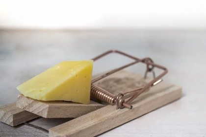 رجل يستعين بمصيدة فئران لاكتشاف هوية السارق