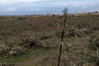 مواطنان ينتزعان قراراً بوقف الاستيلاء على أرضهما جنوب بيت لحم