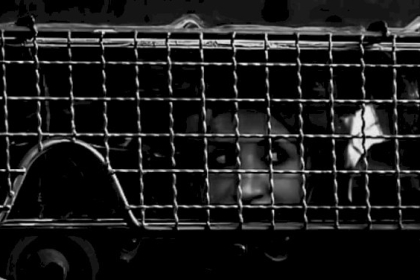 (5) أسرى يدخلون أعواماً جديدة في سجون الاحتلال