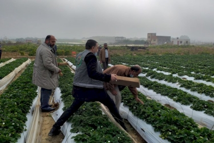 مجلس العمال ينفذ فعالية تطوعية بعنوان " الذهب الأحمر"
