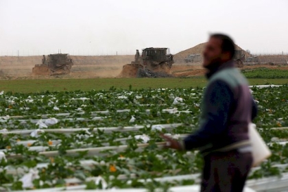 طائرة إسرائيلية ترش مبيدات سامة على المزروعات شرق دير البلح