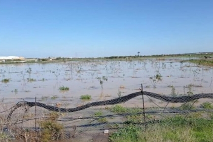 الاحتلال يغرق مئات الدونمات الزراعية بمياه الأمطار شرق غزة